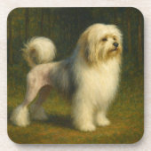 Lowchen コースター (正面)