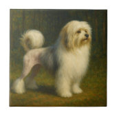 Lowchen タイル (正面)