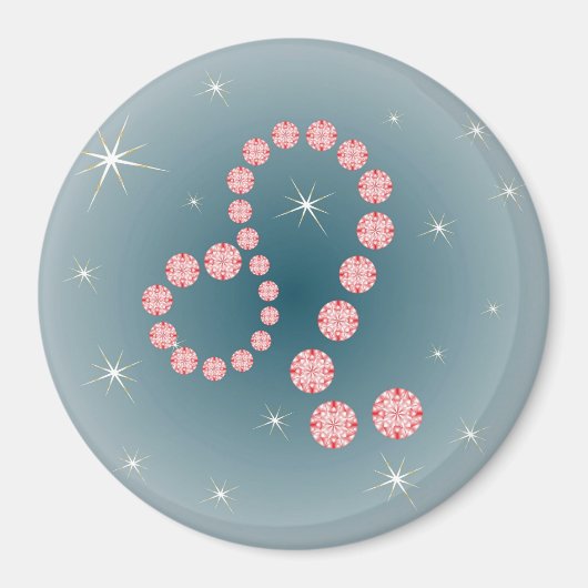 Löwe 23. Juli bis 22. August Magnet マグネット (正面)