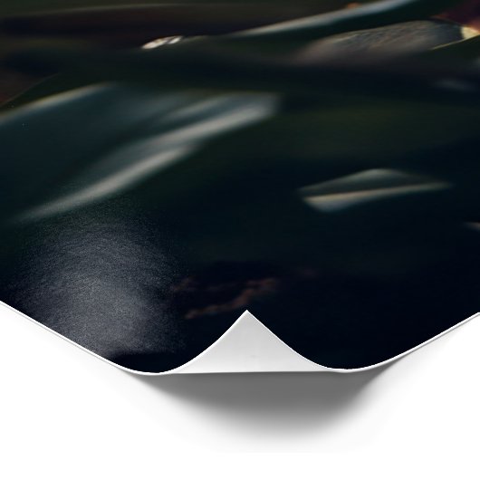 Löwenjunges ポスター (コーナー)