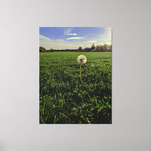 Löwenzahn キャンバスプリント (正面)