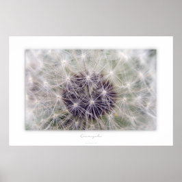 Löwenzahn ポスター