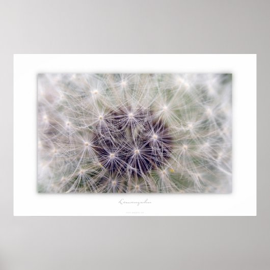 Löwenzahn ポスター (正面)