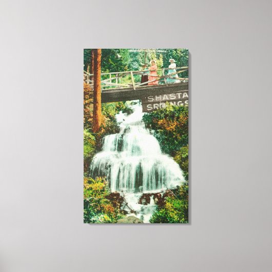 Lower FallsShasta春(カリフォルニア州) キャンバスプリント (正面)