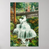 Lower FallsShasta春（カリフォルニア州） ポスター (正面)