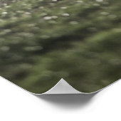 Lower section of rugby player in scrum, pushing ポスター (角)