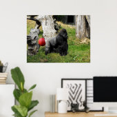 Lowland Gorilla silverback male at Durrell Zoo ポスター (ホームオフィス)