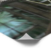 Lowland Gorillas Napping ポスター (角)