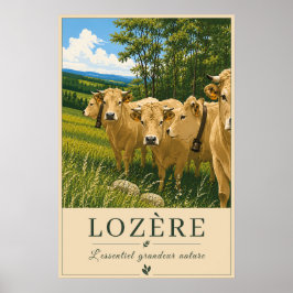 Lozère France – Cows – Vintage Travel Poster ポスター