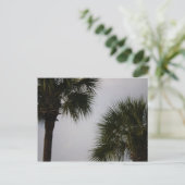 lpn 160 ポストカード (スタンド正面)