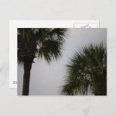 lpn 160 ポストカード (正面/裏面)