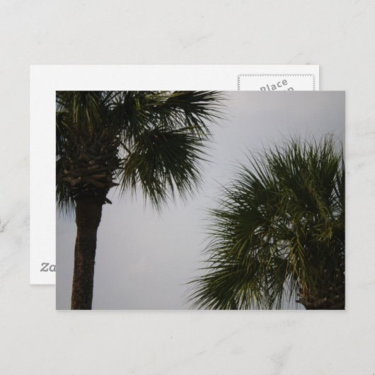 lpn 160 ポストカード (正面/裏面)