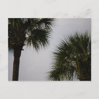 lpn 160 ポストカード