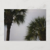 lpn 160 ポストカード (正面)