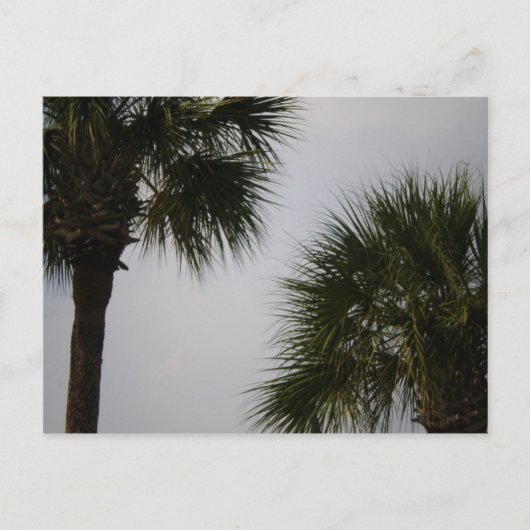 lpn 160 ポストカード (正面)