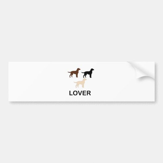 LRすべての色シルエットを愛する バンパーステッカー (正面)