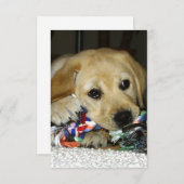 LRイエロー・ラブラドール・レトリーバーおもちゃ人形 サンキューカード (正面/裏面)