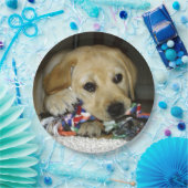 LRイエロー・ラブラドール・レトリーバーおもちゃ人形 ペーパープレート (パーティー)