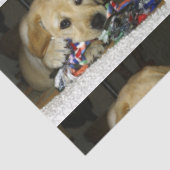 LRイエロー・ラブラドール・レトリーバーおもちゃ人形 薄葉紙 (詳細)