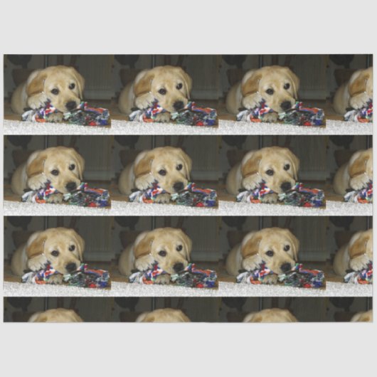 LRイエロー・ラブラドール・レトリーバーおもちゃ人形 薄葉紙 (正面)