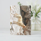 LRイエロー・ラブラドール・レトリーバーフル サンキューカード (スタンド正面)