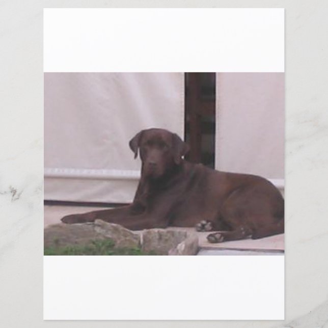 LRチョコレート実験室の敷設 (正面)