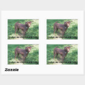 LRチョコレート研究室と写真 長方形シール (シート)