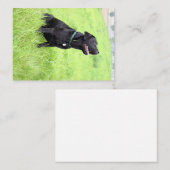 LRブラックラボシッティング ノートカード (正面/裏面)