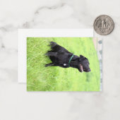 LRブラックラボシッティング ノートカード (正面/裏面インサイチュ)