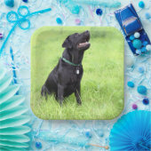 LRブラックラボシッティング ペーパープレート (パーティー)