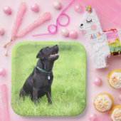 LRブラックラボシッティング ペーパープレート (パーティー)