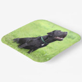 LRブラックラボシッティング ペーパープレート (傾斜あり)