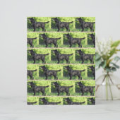 LRブラックラボフル (スタンド正面)