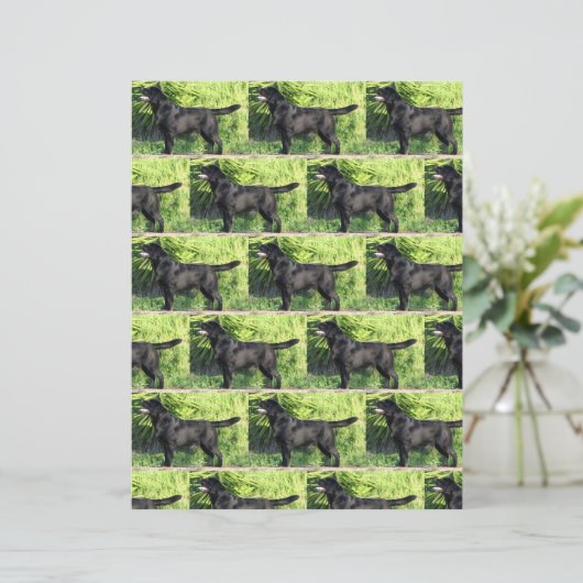 LRブラックラボフル (スタンド正面)