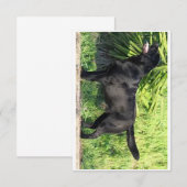 LRブラックラボフル サンキューカード (正面/裏面)