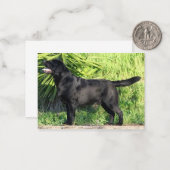 LRブラックラボフル ノートカード (正面/裏面インサイチュ)