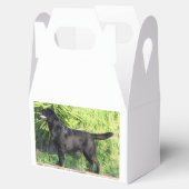 LRブラックラボフル フェイバーボックス (オープン)