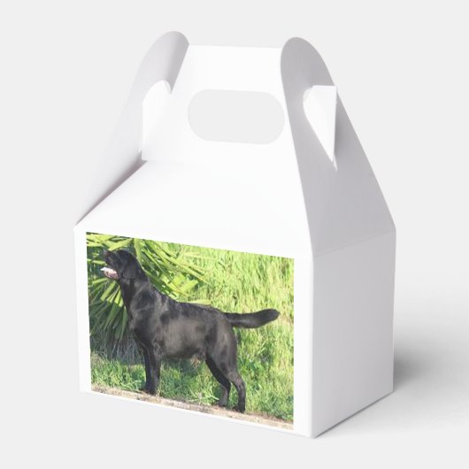 LRブラックラボフル フェイバーボックス (正面サイド)