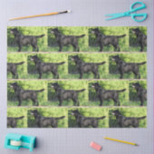 LRブラックラボフル 薄葉紙 (クラフト)