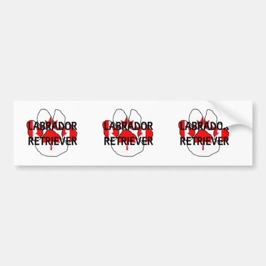 LR名flg paw バンパーステッカー (正面)