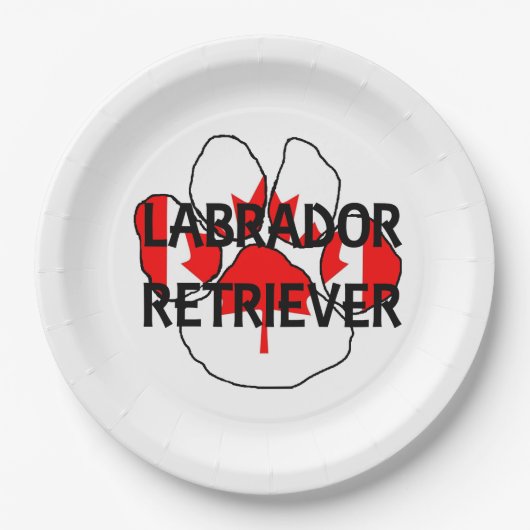 LR名flg paw ペーパープレート (正面)
