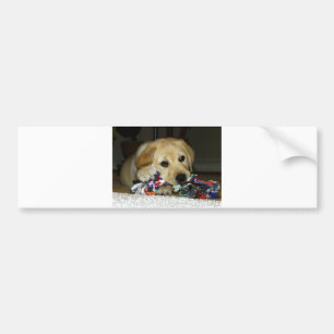 LR黄色い子犬w玩具 バンパーステッカー
