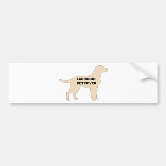 LR黄色の名前シルエット バンパーステッカー (正面)