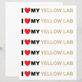 LR黄色の愛 (正面/裏面)