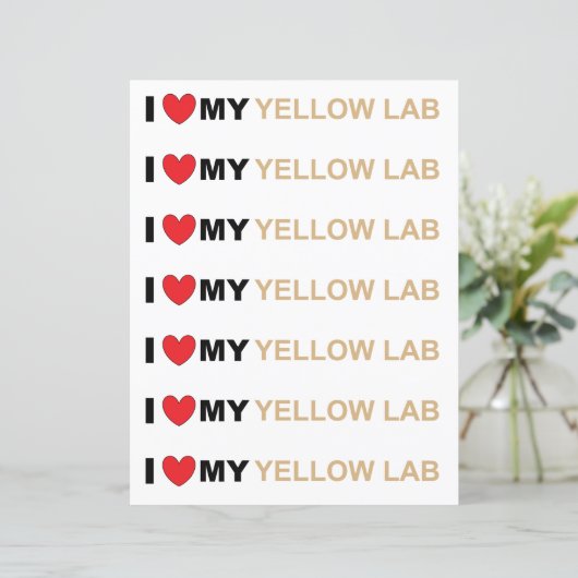 LR黄色の愛 (スタンド正面)