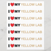 LR黄色の愛 (正面)