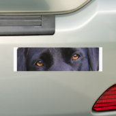 LR黒い目 バンパーステッカー (車上)