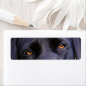 LR黒い目 ラベル (インサイチュ)