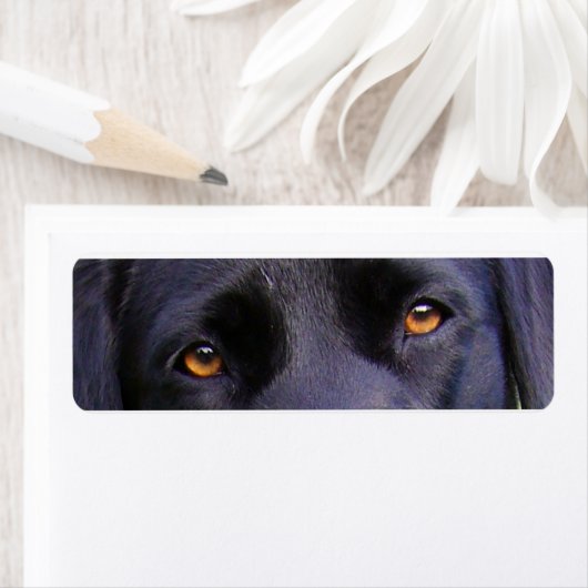 LR黒い目 ラベル (インサイチュ)