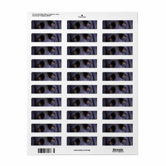 LR黒い目 ラベル (フルシート)